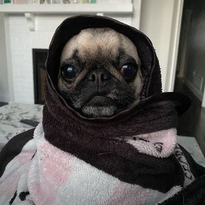 Meet your Posher, Nikki